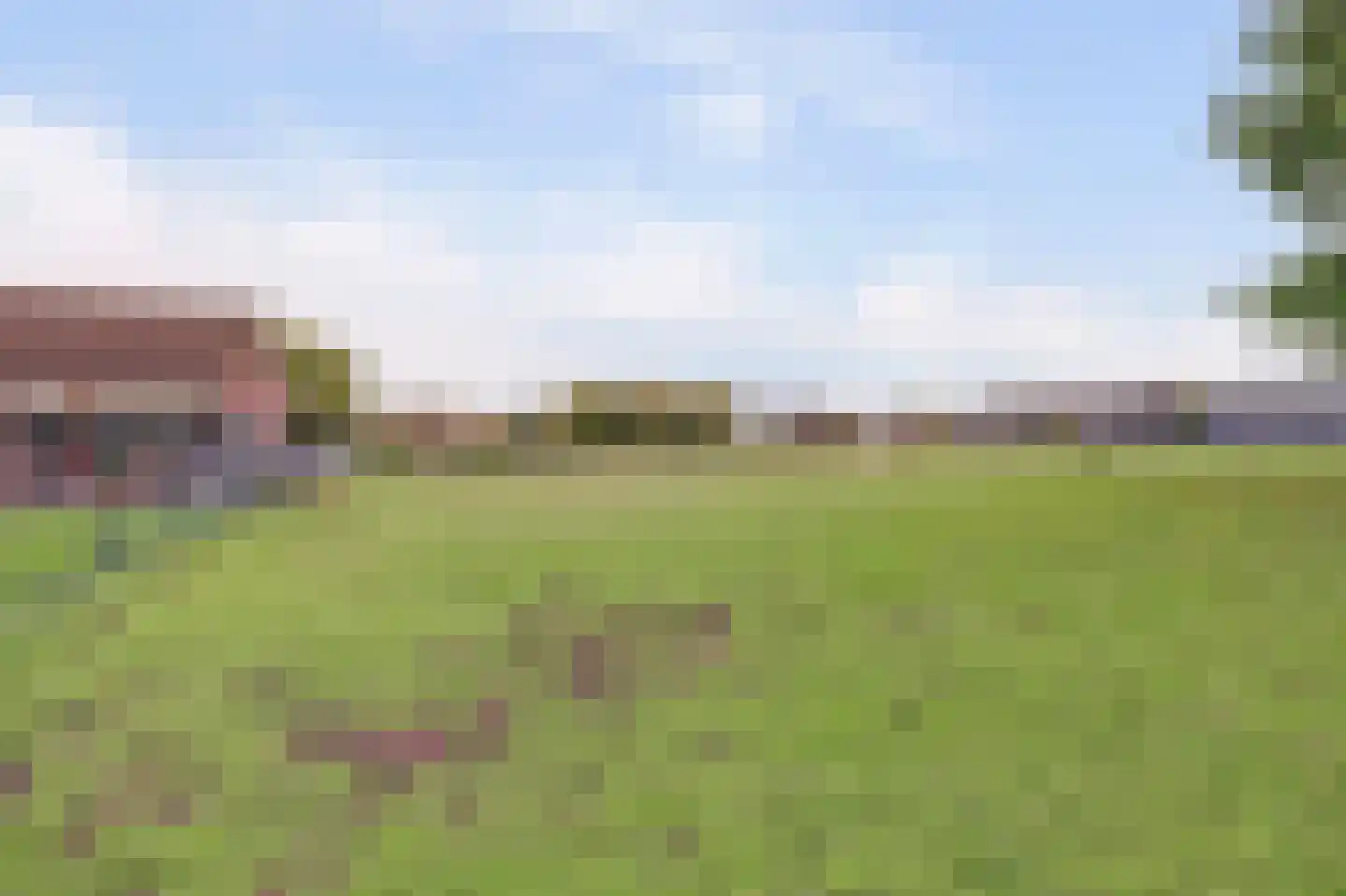 Beeteweg 5 Blitterswijck thumbnail 54