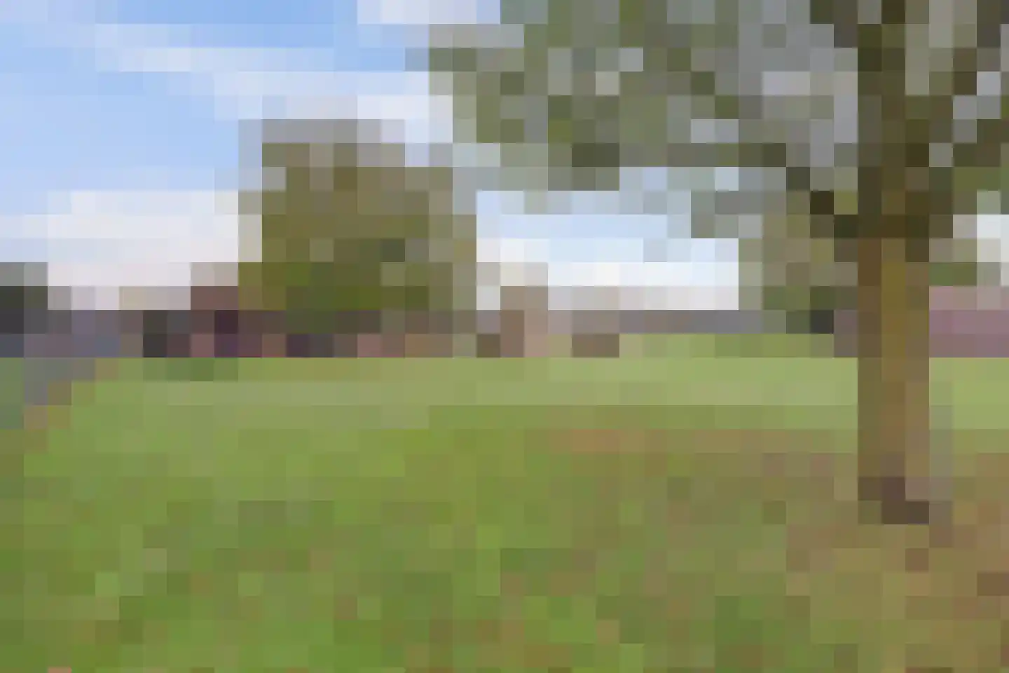 Beeteweg 5 Blitterswijck thumbnail 56