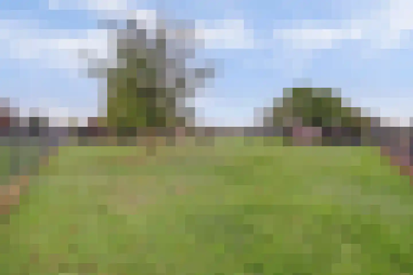 Beeteweg 5 Blitterswijck thumbnail 57