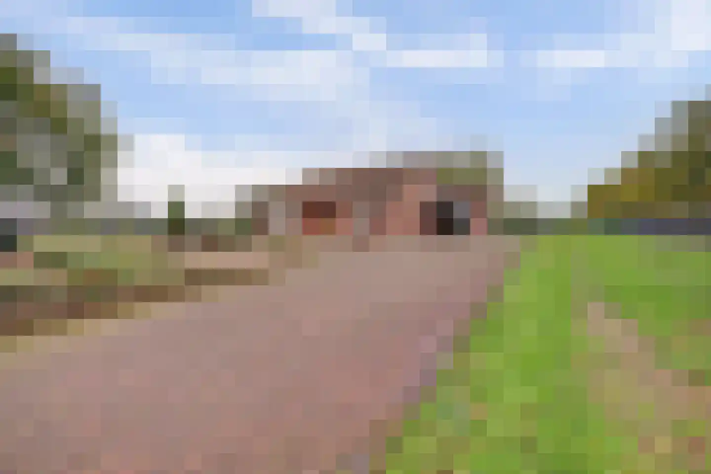 Beeteweg 5 Blitterswijck thumbnail 63