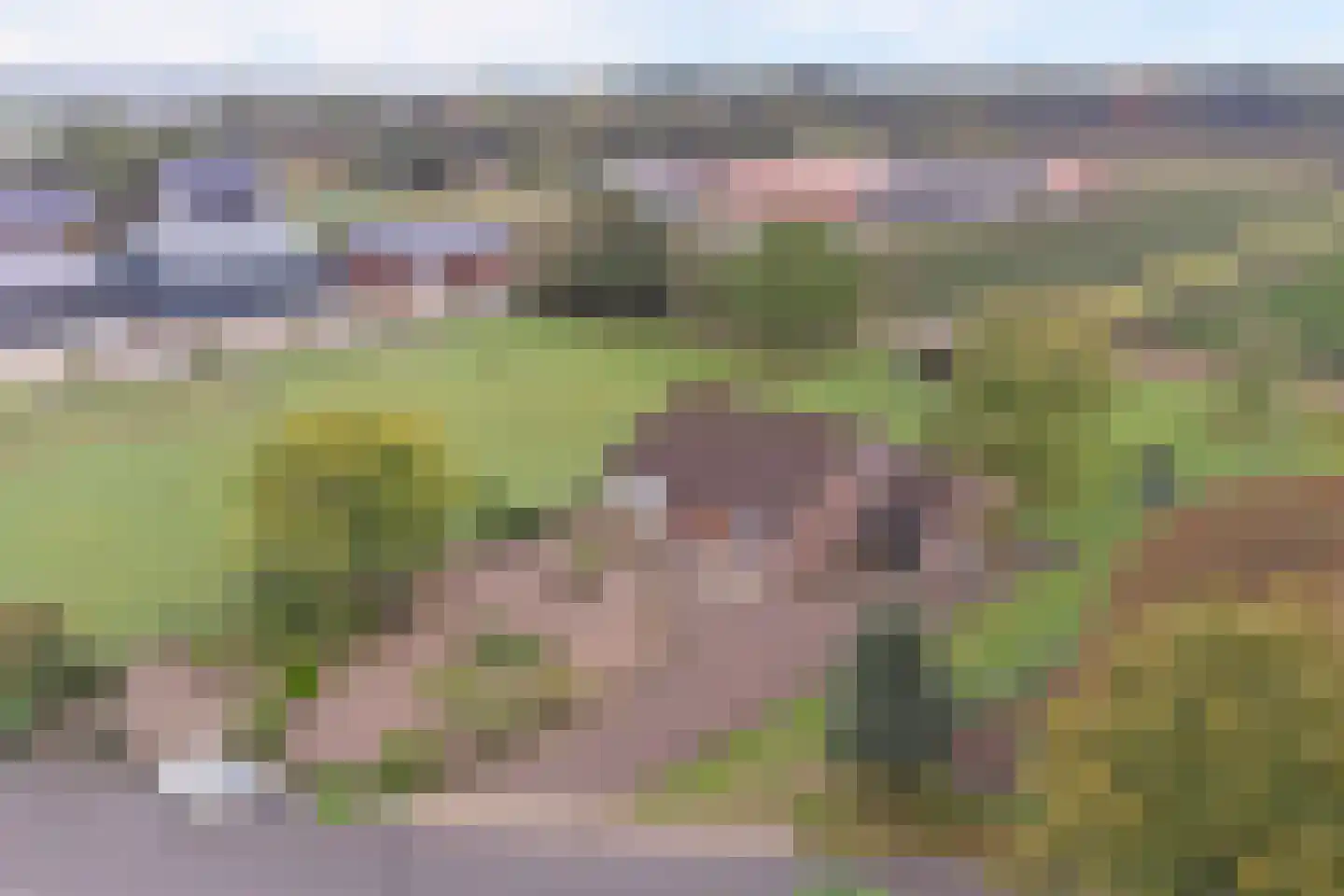 Beeteweg 5 Blitterswijck thumbnail 65