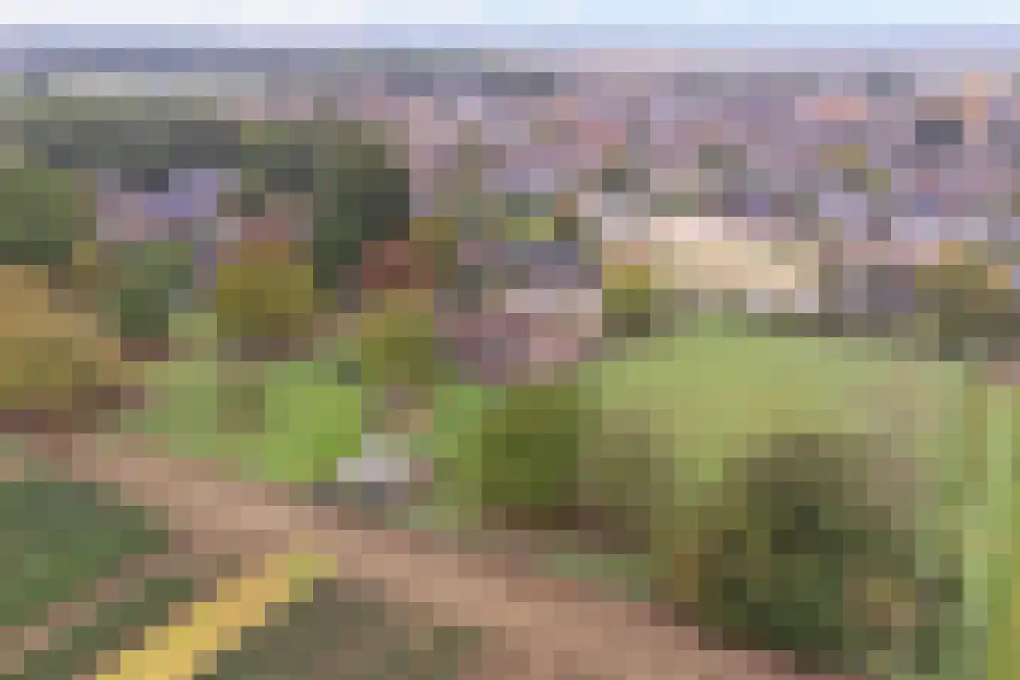 Beeteweg 5 Blitterswijck thumbnail 68