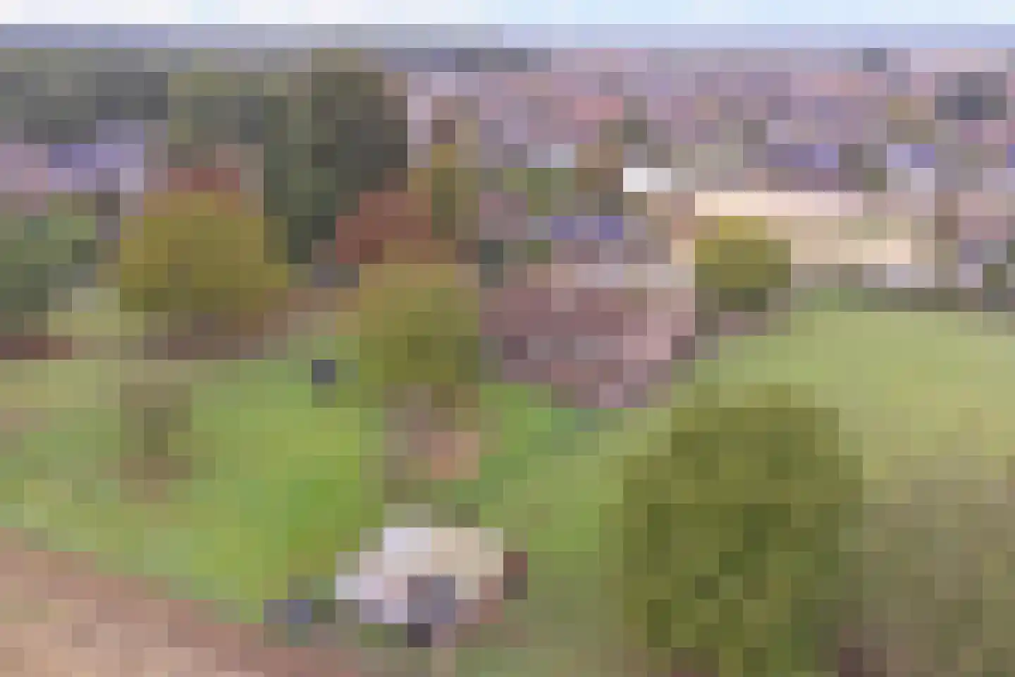 Beeteweg 5 Blitterswijck thumbnail 69