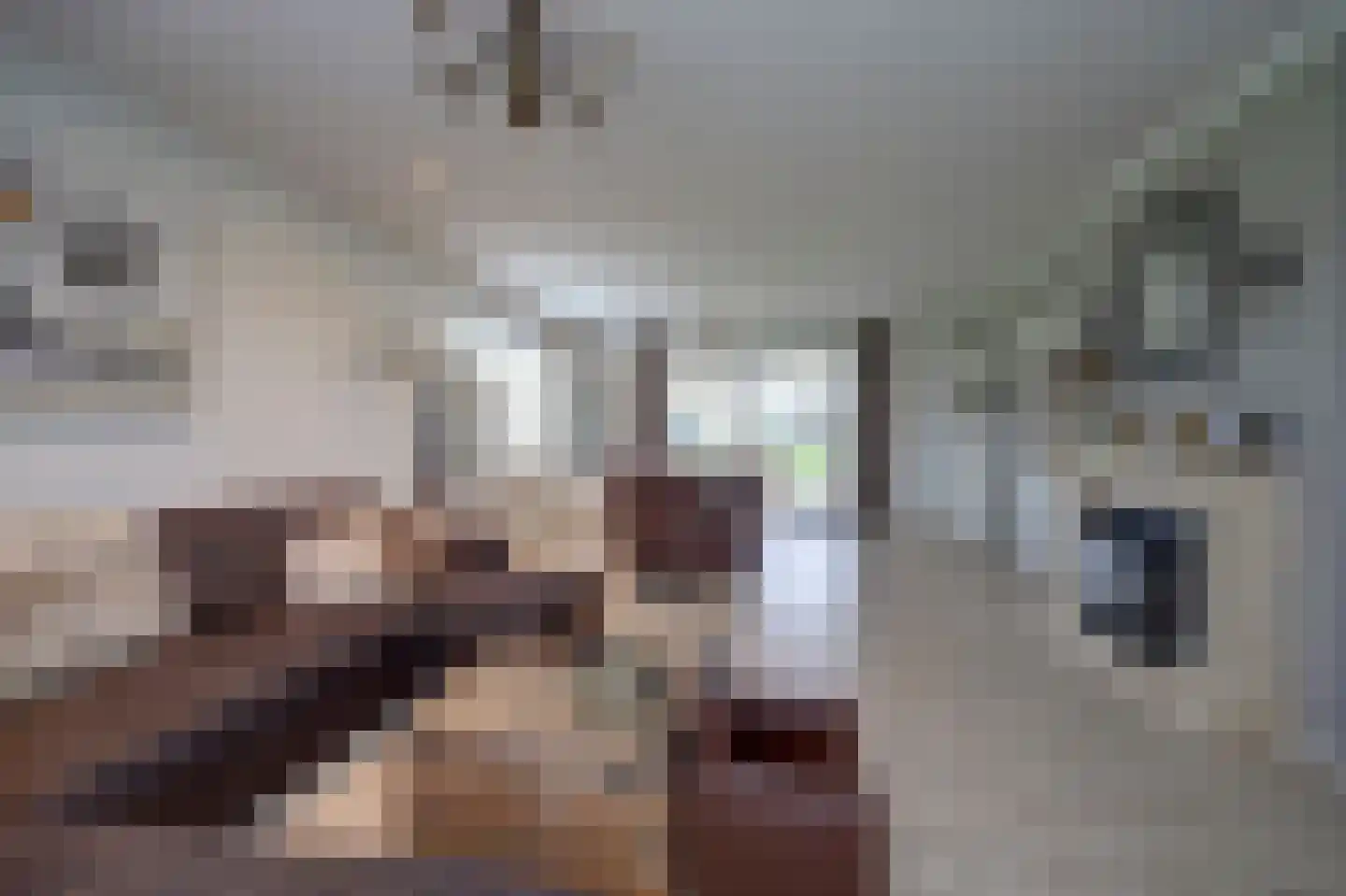 Beeteweg 5 Blitterswijck thumbnail 8