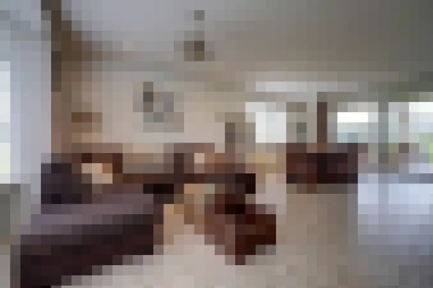 Beeteweg 5 Blitterswijck thumbnail 9