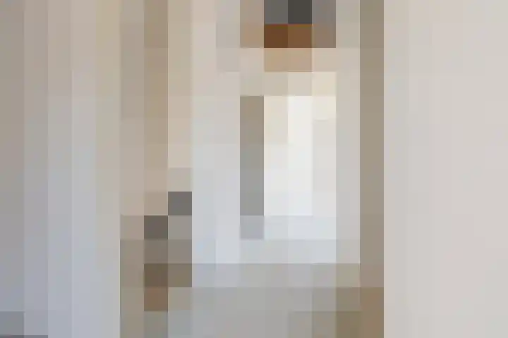 Beetezijweg 1 C Blitterswijck thumbnail 19