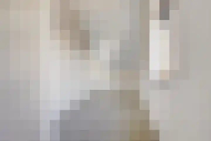 Beetezijweg 1 C Blitterswijck thumbnail 21