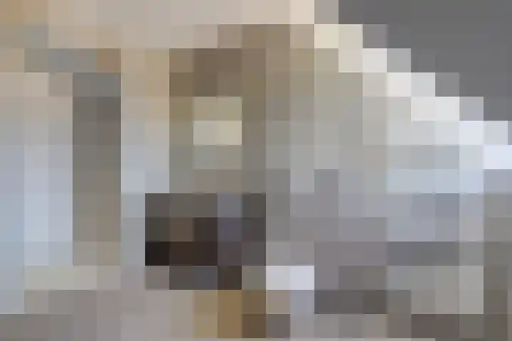 Beetezijweg 1 C Blitterswijck thumbnail 27
