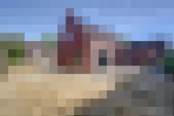Beetezijweg 1 C Blitterswijck thumbnail 31
