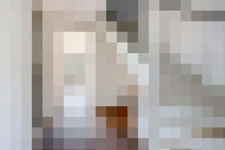 Beetezijweg 1 C Blitterswijck thumbnail 6