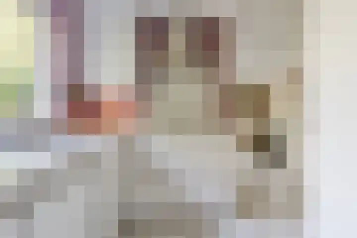 Beethovendreef 16 Harderwijk thumbnail 16