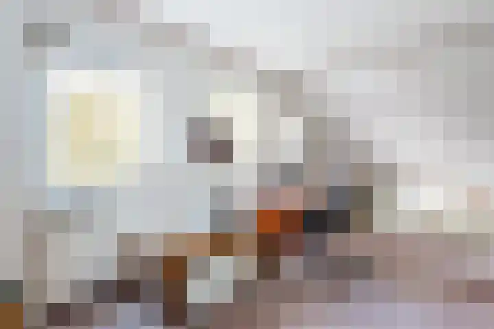 Beethovendreef 16 Harderwijk thumbnail 33