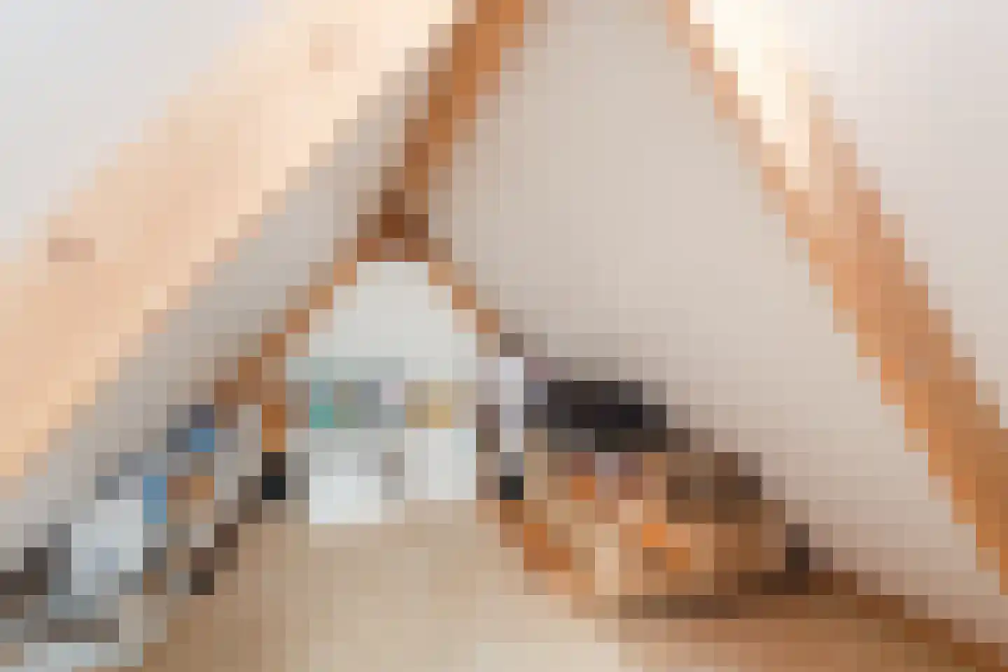 Beethovendreef 16 Harderwijk thumbnail 35