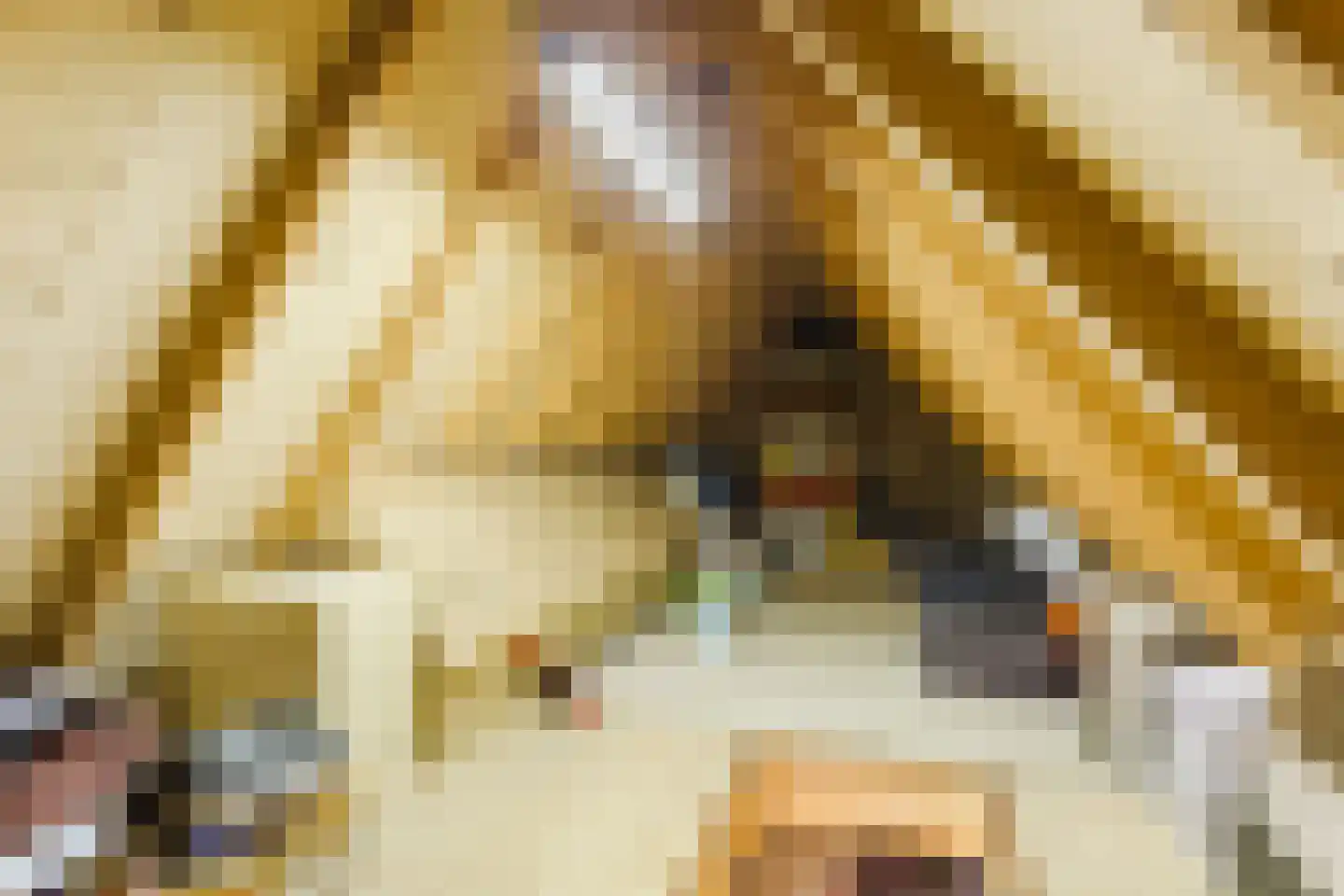 Beethovendreef 16 Harderwijk thumbnail 39