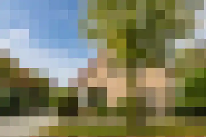 Beethovendreef 16 Harderwijk thumbnail 4