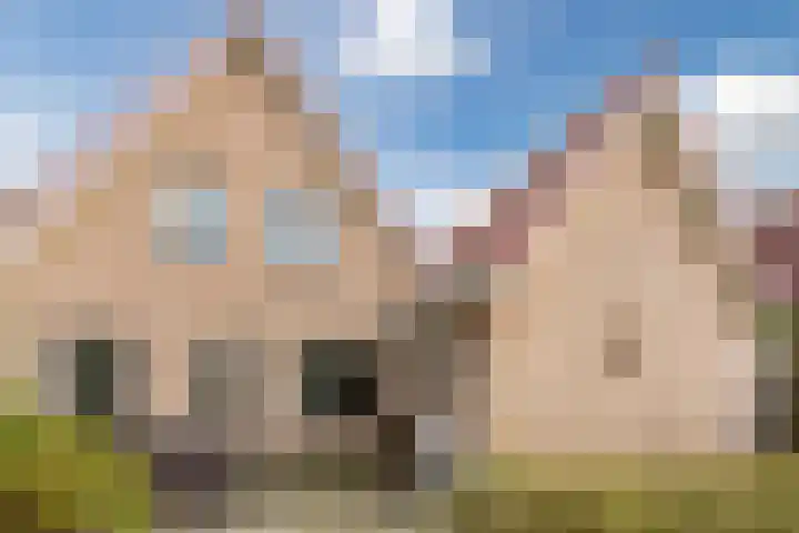 Beethovendreef 16 Harderwijk thumbnail 40