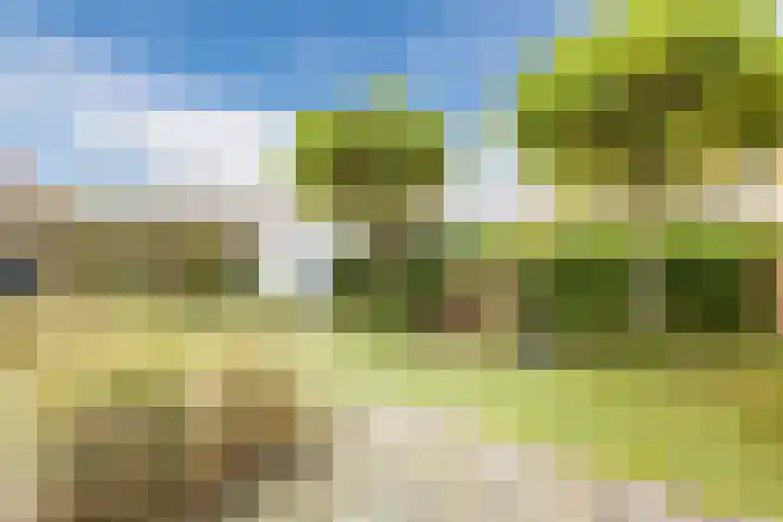 Beethovendreef 16 Harderwijk thumbnail 43