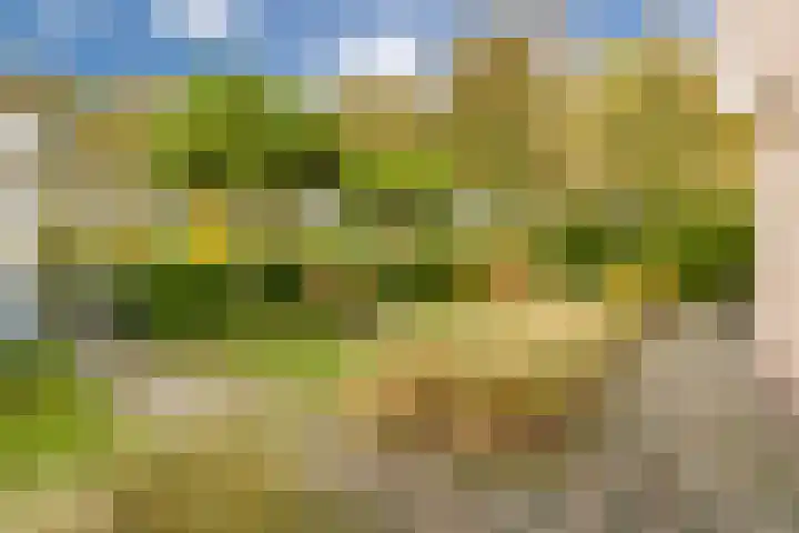 Beethovendreef 16 Harderwijk thumbnail 44