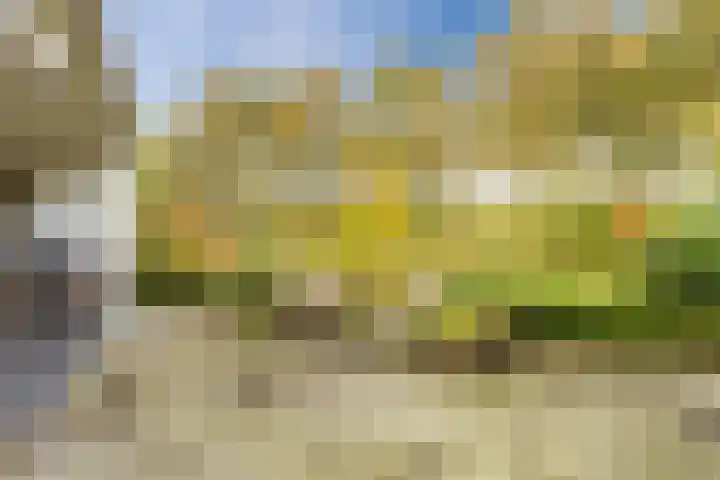 Beethovendreef 16 Harderwijk thumbnail 46