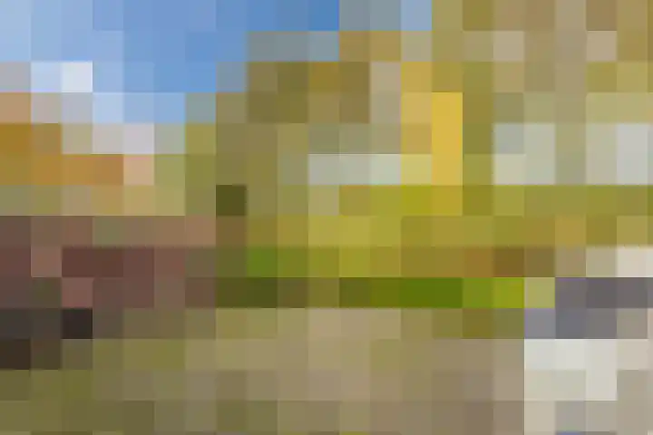 Beethovendreef 16 Harderwijk thumbnail 49