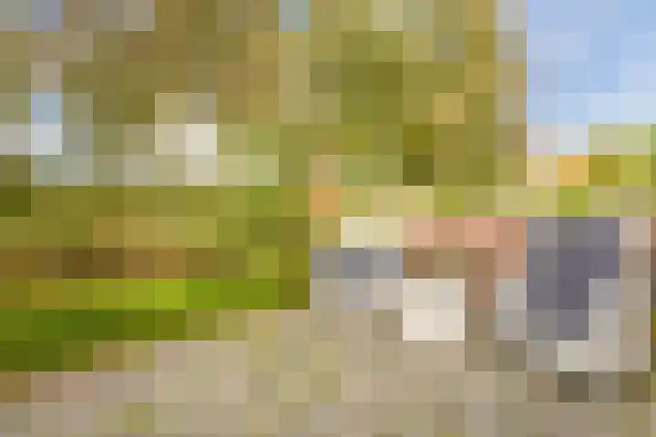 Beethovendreef 16 Harderwijk thumbnail 50