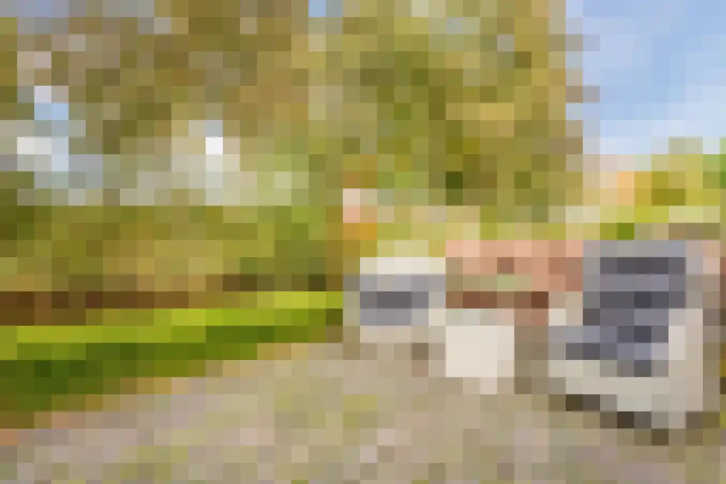 Beethovendreef 16 Harderwijk thumbnail 50