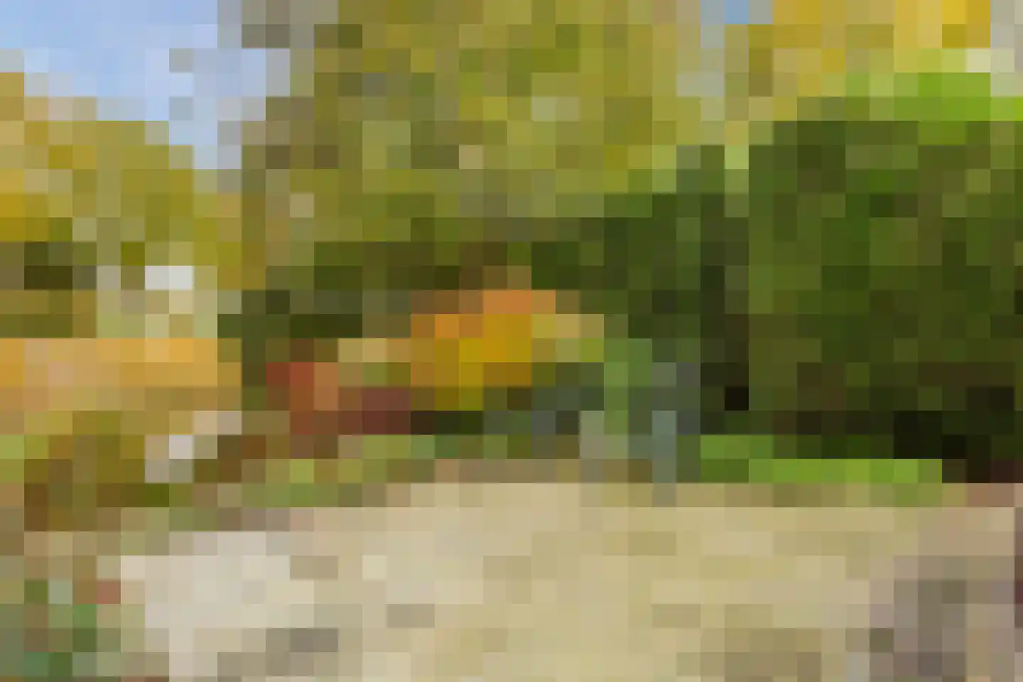 Beethovendreef 16 Harderwijk thumbnail 52