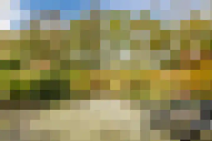 Beethovendreef 16 Harderwijk thumbnail 53