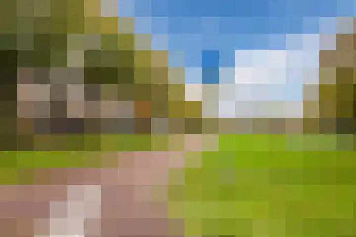 Beethovendreef 16 Harderwijk thumbnail 57