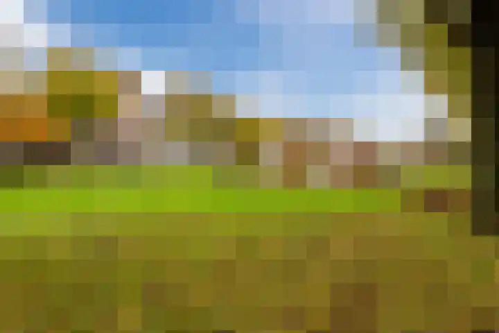 Beethovendreef 16 Harderwijk thumbnail 58
