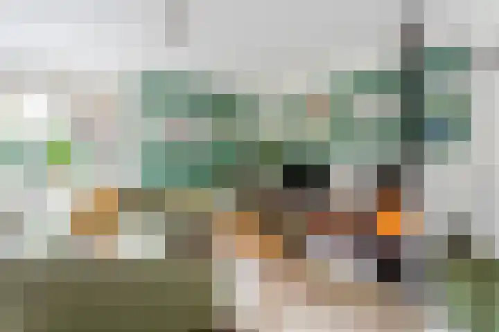 Beethovendreef 16 Harderwijk thumbnail 6