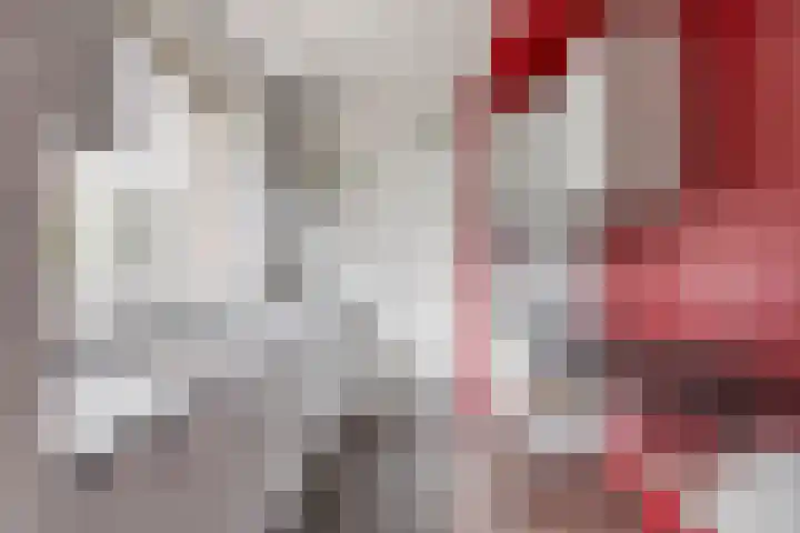 Beethovengaarde 101 Oss thumbnail 10