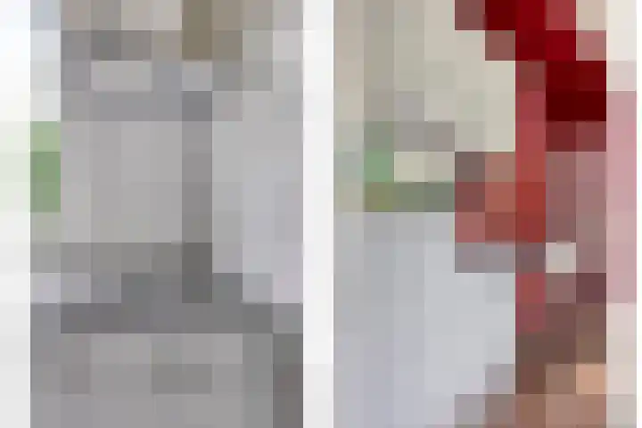 Beethovengaarde 101 Oss thumbnail 12