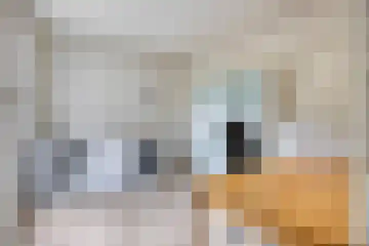 Beethovengaarde 101 Oss thumbnail 13