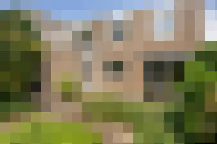 Beethovengaarde 101 Oss foto 2