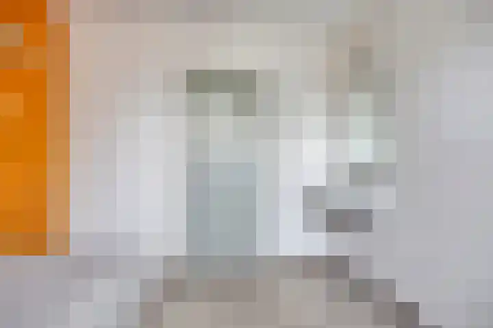 Beethovengaarde 101 Oss thumbnail 22