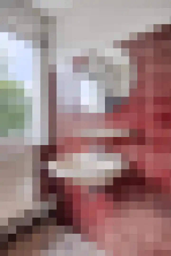 Beethovengaarde 101 Oss thumbnail 24