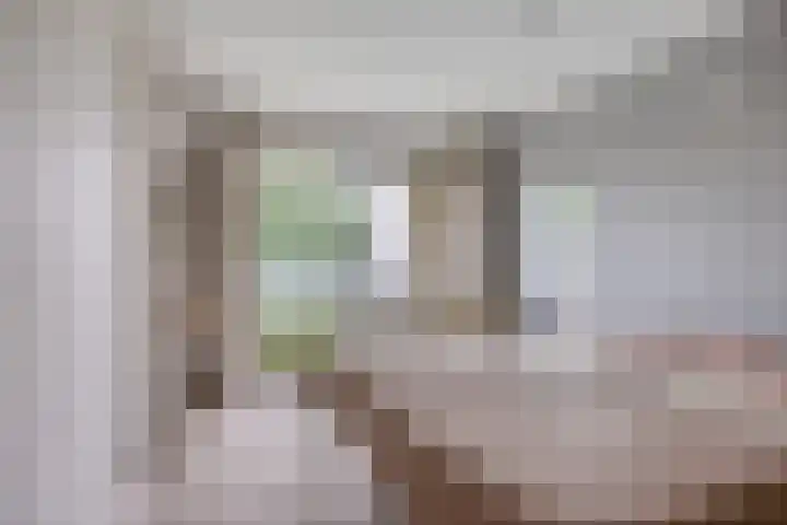 Beethovengaarde 101 Oss thumbnail 29