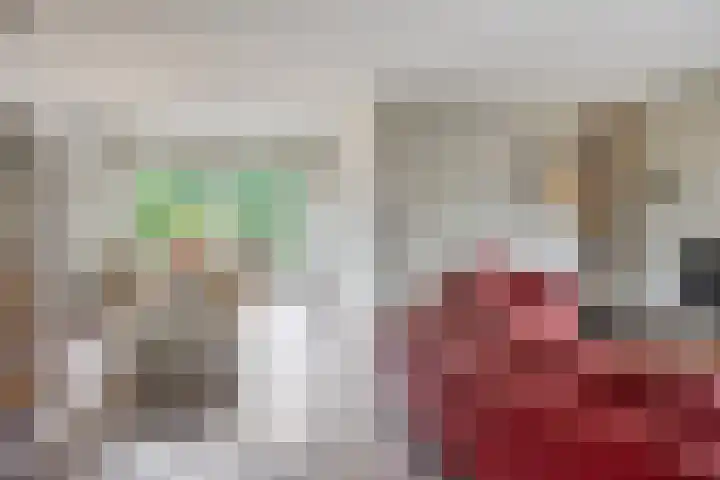 Beethovengaarde 101 Oss foto 3