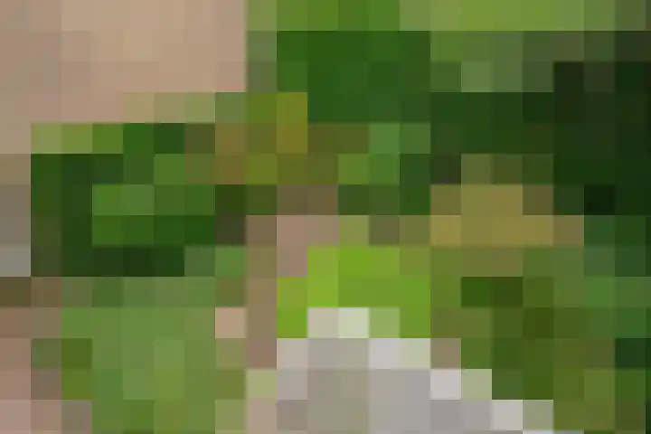 Beethovengaarde 101 Oss thumbnail 32