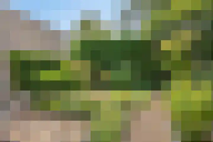 Beethovengaarde 101 Oss thumbnail 33