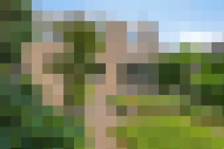 Beethovengaarde 101 Oss thumbnail 34