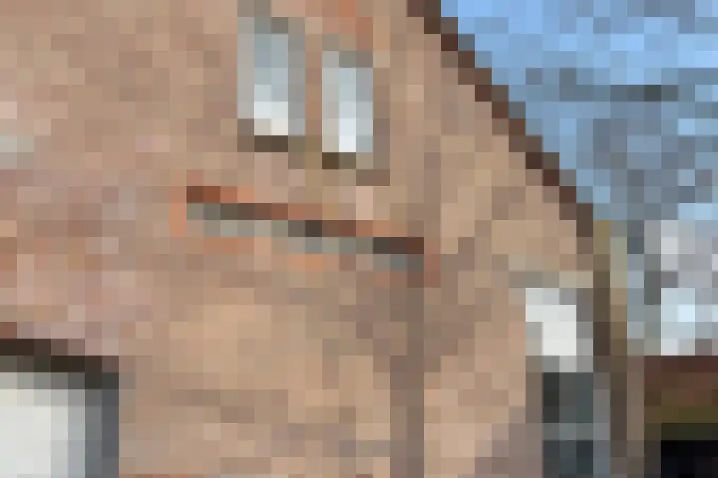 Beethovengaarde 101 Oss thumbnail 39