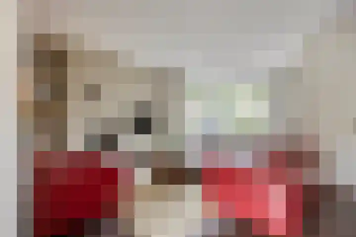 Beethovengaarde 101 Oss thumbnail 4