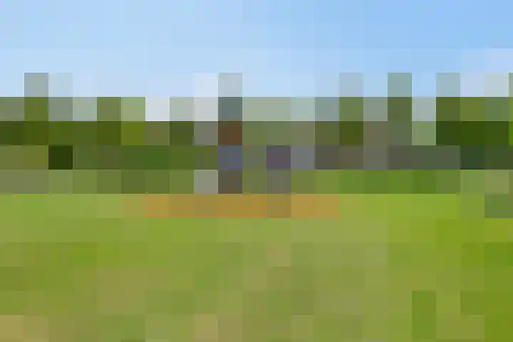 Beethovengaarde 101 Oss thumbnail 40