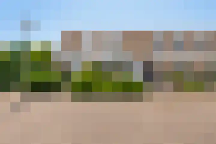 Beethovengaarde 101 Oss thumbnail 43