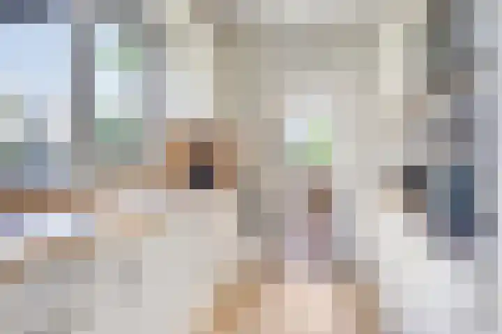 Beethovengaarde 111 Oss thumbnail 12