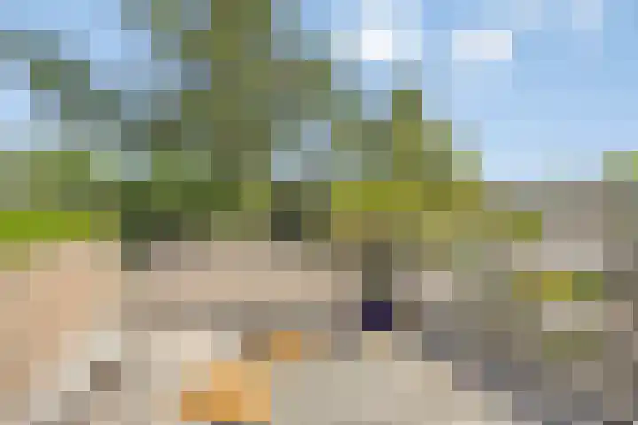 Beethovengaarde 111 Oss thumbnail 21