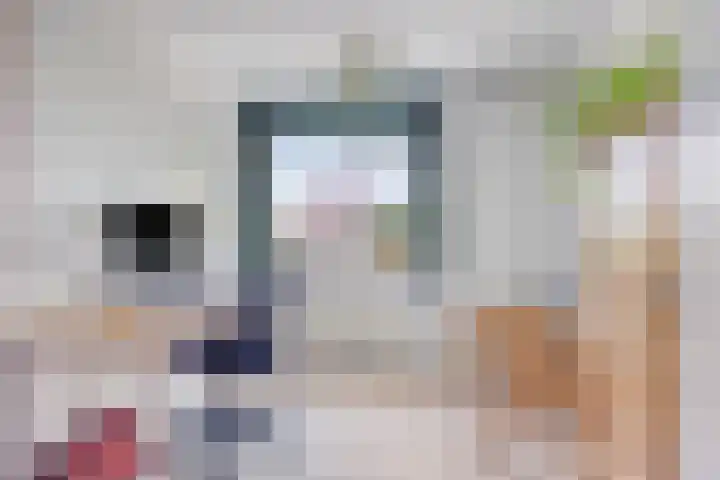 Beethovengaarde 111 Oss thumbnail 24