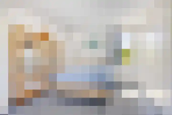 Beethovengaarde 111 Oss thumbnail 30